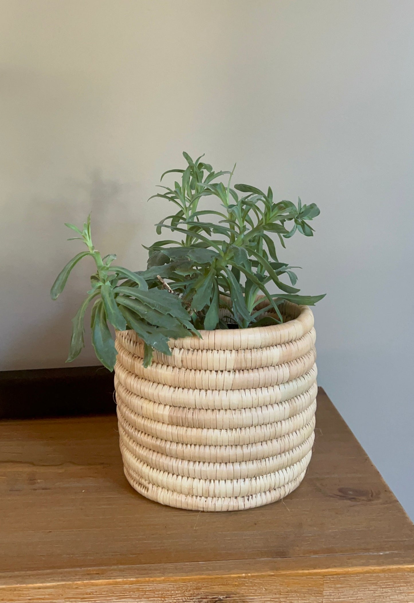 Plant Basket 1 - small